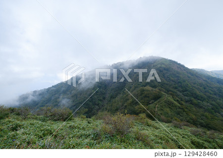 蛭ヶ岳登山道 蛭ヶ岳登山道 129428460