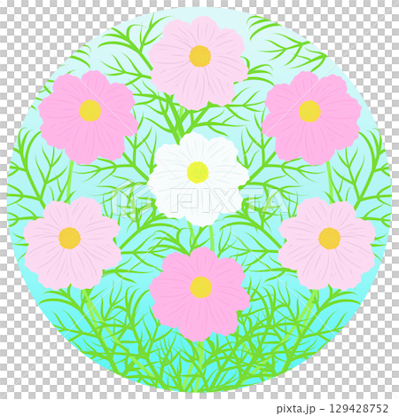 秋桜のカラフルなイラスト 秋桜のカラフルなイラスト 129428752