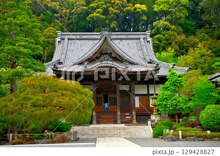 中部地方・伊豆修善寺温泉・修禅寺の本堂、お参りをする女性観光客のイメージ・静岡県伊豆市修善寺(3) 中部地方・伊豆修善寺温泉・修禅寺の本堂、お参りをする女性観光客のイメージ・静岡県伊豆市修善寺(3) 129428827