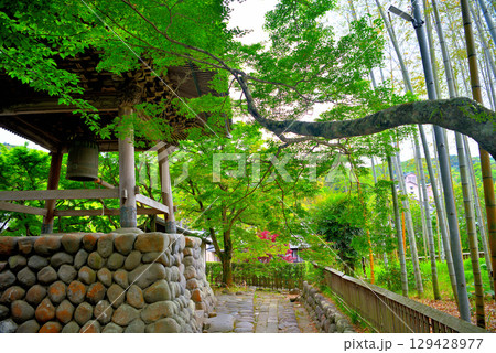 中部地方・伊豆修善寺温泉・修禅寺のイメージ、鐘楼堂と竹林・静岡県伊豆市修善寺(1) 129428977