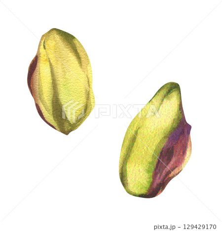 Pistachio pilled fresh nuts watercolor illustration. Hand drawn isolated vegan food clipart, green kernel painting, Turkey traditional sweet ingredient. Drawing for organic packing,label,menu design Pistachio pilled fresh nuts watercolor illustration. Hand drawn isolated vegan food clipart, green kernel painting, Turkey traditional sweet ingredient. Drawing for organic packing,label,menu design 129429170