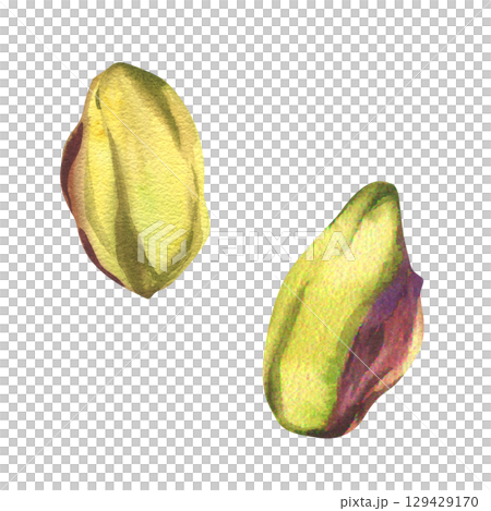 Pistachio pilled fresh nuts watercolor illustration. Hand drawn isolated vegan food clipart, green kernel painting, Turkey traditional sweet ingredient. Drawing for organic packing,label,menu design Pistachio pilled fresh nuts watercolor illustration. Hand drawn isolated vegan food clipart, green kernel painting, Turkey traditional sweet ingredient. Drawing for organic packing,label,menu design 129429170