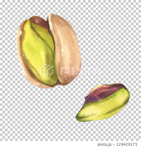 Fresh pistachio nuts watercolor clipart. Hand drawn macro illustration of nut kernel and nutshell, vegan organic food full of protein, painting for product label,logo,market and menu design 129429171