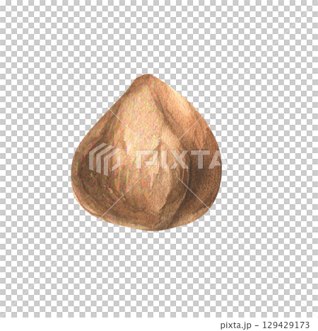 Hazel nut watercolor illustration. Hand drawn isolated forest kernel, pilled brown fresh nut. Vegan organic food painting for product packing, menu,organic shop design 129429173