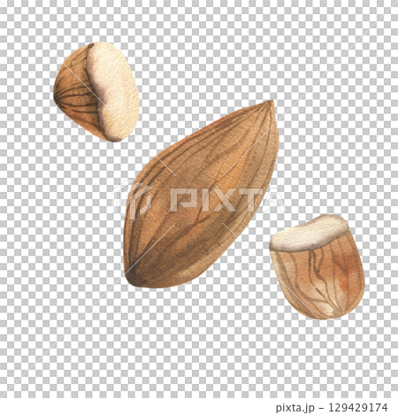 Almond nuts watercolor set with whole pilled nut and pieces illustration. Hand drawn brown dried kernel clipart, organic protein food painting for food,product,menu design Almond nuts watercolor set with whole pilled nut and pieces illustration. Hand drawn brown dried kernel clipart, organic protein food painting for food,product,menu design 129429174