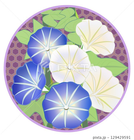 円形背景つきアサガオのイラスト 129429591
