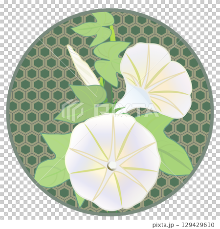 円形背景つきアサガオのイラスト 129429610