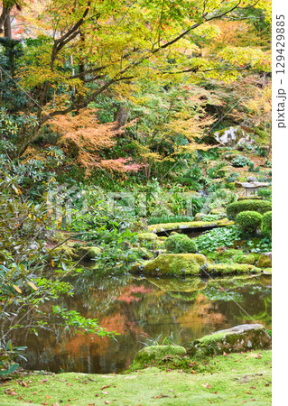 大原　三千院　美しい紅葉（京都府京都市左京区） 129429885