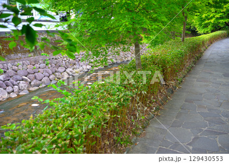中部地方・伊豆修善寺温泉・虎渓橋(あこがれ橋)と桂橋(結ばれ橋)を結ぶ歩道・静岡県伊豆市修善寺(1) 129430553