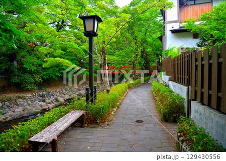 中部地方・伊豆修善寺温泉・虎渓橋(あこがれ橋)と桂橋(結ばれ橋)を結ぶ歩道・静岡県伊豆市修善寺(4) 129430556