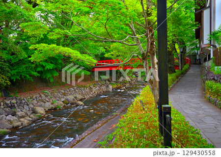 中部地方・伊豆修善寺温泉・虎渓橋(あこがれ橋)と桂橋(結ばれ橋)を結ぶ歩道・静岡県伊豆市修善寺(6) 129430558
