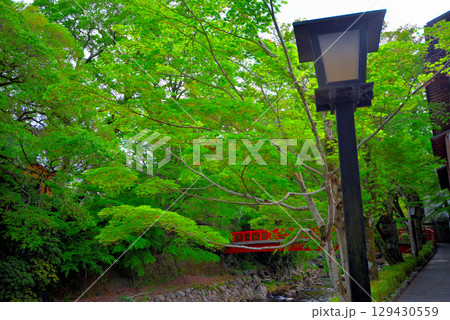 中部地方・伊豆修善寺温泉・虎渓橋(あこがれ橋)と桂橋(結ばれ橋)を結ぶ歩道・静岡県伊豆市修善寺(7) 129430559