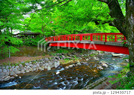 中部地方・伊豆修善寺温泉・遊歩道から眺める桂川と桂橋(結ばれ橋)・静岡県伊豆市修善寺(4) 129430717