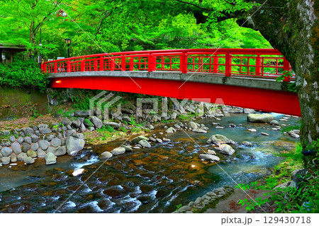 中部地方・伊豆修善寺温泉・遊歩道から眺める桂川と桂橋(結ばれ橋)・静岡県伊豆市修善寺(5) 中部地方・伊豆修善寺温泉・遊歩道から眺める桂川と桂橋(結ばれ橋)・静岡県伊豆市修善寺(5) 129430718