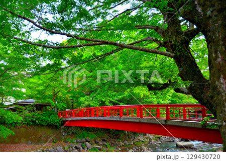 中部地方・伊豆修善寺温泉・遊歩道から眺める桂川と桂橋(結ばれ橋)・静岡県伊豆市修善寺(7) 129430720