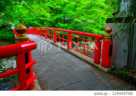 中部地方・伊豆修善寺温泉・遊歩道を進んで、桂橋(結ばれ橋)を渡るイメージ・静岡県伊豆市修善寺(1) 129430789