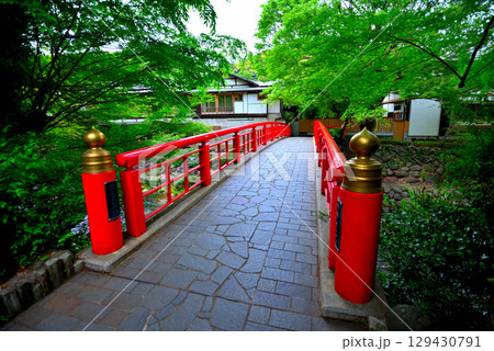 中部地方・伊豆修善寺温泉・遊歩道を進んで、桂橋(結ばれ橋)を渡るイメージ・静岡県伊豆市修善寺(3) 129430791