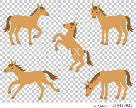 褐色的馬插圖集 129430928