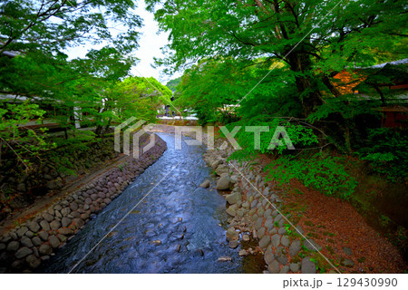 中部地方・伊豆修善寺温泉・桂橋(結ばれ橋)を渡るイメージ、桂川の眺め・静岡県伊豆市修善寺(1) 129430990