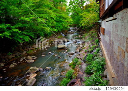 中部地方・伊豆修善寺温泉・桂橋(結ばれ橋)から楓橋(寄り添い橋)を眺める・静岡県伊豆市修善寺(4) 中部地方・伊豆修善寺温泉・桂橋(結ばれ橋)から楓橋(寄り添い橋)を眺める・静岡県伊豆市修善寺(4) 129430994
