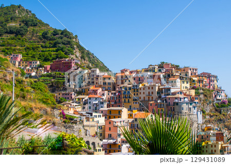 Colorful city houses on cliff edge. Manarola Italian village Cinque Terre, Liguria, Italy. Summer architecture Colorful city houses on cliff edge. Manarola Italian village Cinque Terre, Liguria, Italy. Summer architecture 129431089