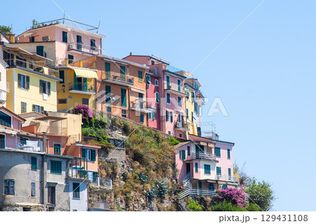 Multicolored houses building on cliff edge. Manarola Italian village Cinque Terre, Liguria, Italy. Summer background copy space 129431108