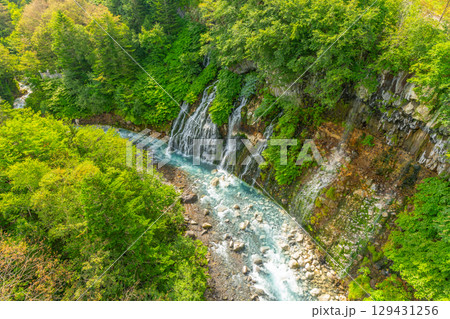 夏の白ひげの滝 北海道 旭川 美瑛 夏の白ひげの滝 北海道 旭川 美瑛 129431256