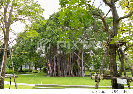 Prem Pracha Vana Rak Park Project resting place Prem Pracha Vana Rak Park Project resting place 129431360
