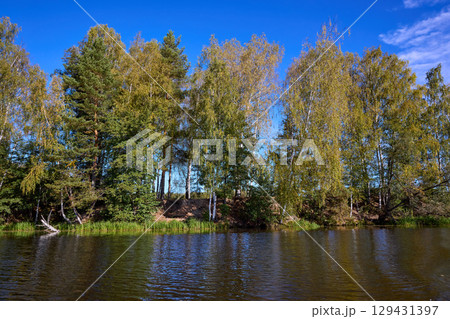 Serene Riverbank Scene with Lush Greenery 129431397