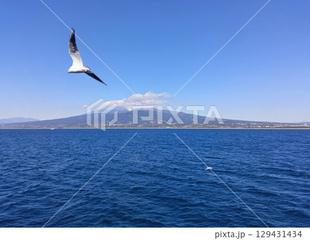 海を飛び交うカモメ 129431434