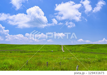 夏の霧ヶ峰高原を歩く 夏の霧ヶ峰高原を歩く 129431673