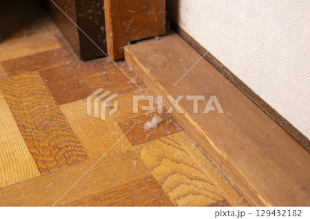 フローリングの床にたまったホコリ フローリングの床にたまったホコリ 129432182