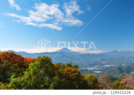 紅葉の高尾山から望む富士山 紅葉の高尾山から望む富士山 129432226