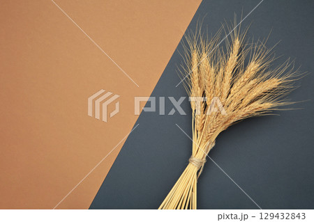 Ears of wheat on dark blue and beige background. 129432843