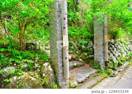 中部地方・伊豆修善寺温泉・源氏公園の園内・静岡県伊豆市修善寺(1) 中部地方・伊豆修善寺温泉・源氏公園の園内・静岡県伊豆市修善寺(1) 129433334