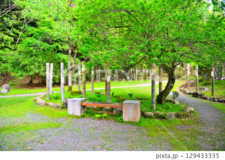中部地方・伊豆修善寺温泉・源氏公園の園内・静岡県伊豆市修善寺(2) 中部地方・伊豆修善寺温泉・源氏公園の園内・静岡県伊豆市修善寺(2) 129433335