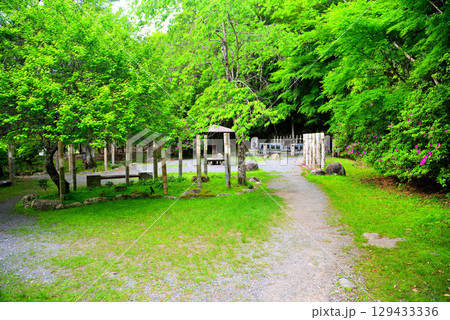 中部地方・伊豆修善寺温泉・源氏公園の園内・静岡県伊豆市修善寺(3) 129433336