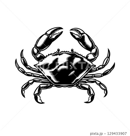 Vintage engraving illustration of crab. Seafood emblem with crab. Vector crab illustration Vintage engraving illustration of crab. Seafood emblem with crab. Vector crab illustration 129433907