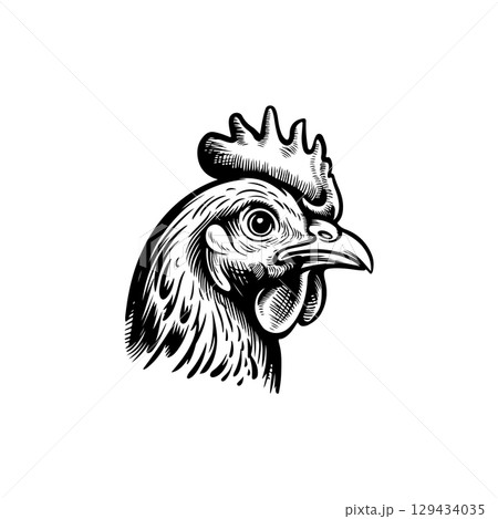 Retro engraving illustration of chicken head. Vector illustration 129434035