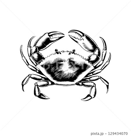 Vintage  engraving illustration of crab. Seafood emblem with crab. Vector crab illustration 129434070