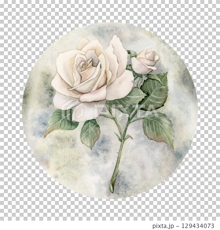 Rose on stem with bud leaves and round moon. White garden flower arrangement. Watercolor hand painted floral isolated illustration for wedding desig home textile fabric crockery card label logo Rose on stem with bud leaves and round moon. White garden flower arrangement. Watercolor hand painted floral isolated illustration for wedding desig home textile fabric crockery card label logo 129434073