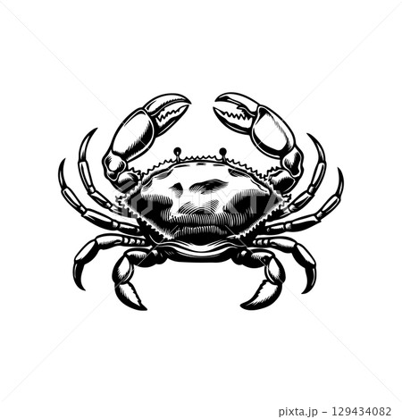 Vintage engraving illustration of crab. Seafood emblem with crab. Vector crab illustration Vintage engraving illustration of crab. Seafood emblem with crab. Vector crab illustration 129434082