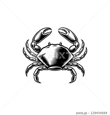 Vintage engraving illustration of crab. Seafood emblem with crab. Vector crab illustration Vintage engraving illustration of crab. Seafood emblem with crab. Vector crab illustration 129434084