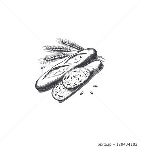 Engraving illustration of baguette and ears of wheat. Vintage bread illustration for bakery. Vector illustration 129434182