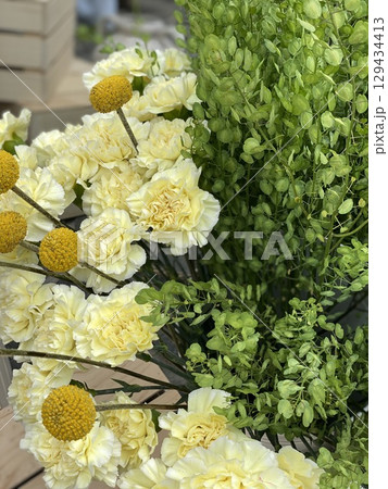 Yellow carnations and green foliage in bloom, perfect as a vibrant spring background 129434413