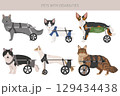 Disabled animals clipart. Injured cats in a wheelchairs. Cats with a disabilities 129434438