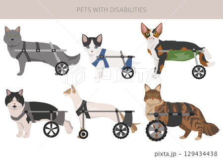 Disabled animals clipart. Injured cats in a wheelchairs. Cats with a disabilities 129434438