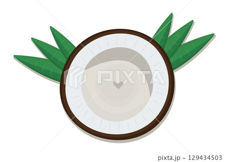 Coconut half with palm leaves, view from above, love to nuts, vector color illustration Coconut half with palm leaves, view from above, love to nuts, vector color illustration 129434503