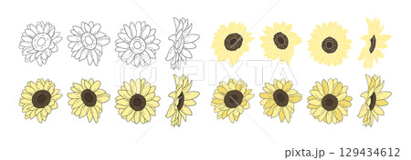 ひまわり 129434612