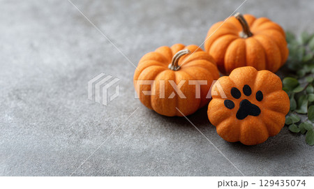 Mini pumpkins with paw print design on one, perfect for Halloween decor on gray background 129435074